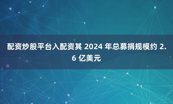 配资炒股平台入配资其 2024 年总募捐规模约 2.6 亿美元