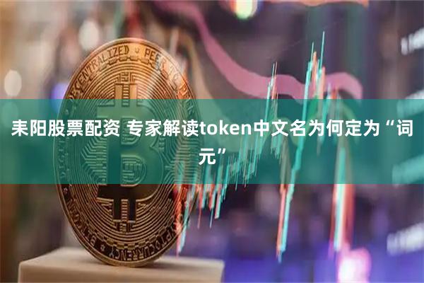 耒阳股票配资 专家解读token中文名为何定为“词元”