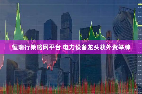 恒瑞行策略网平台 电力设备龙头获外资举牌