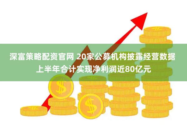 深富策略配资官网 20家公募机构披露经营数据 上半年合计实现净利润近80亿元